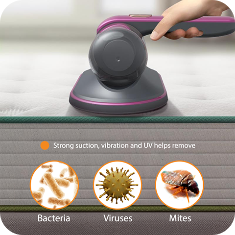 Handheld Portable  Mite and Dust Cleaner