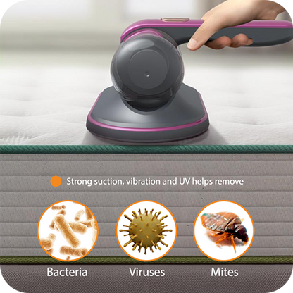 Handheld Portable  Mite and Dust Cleaner